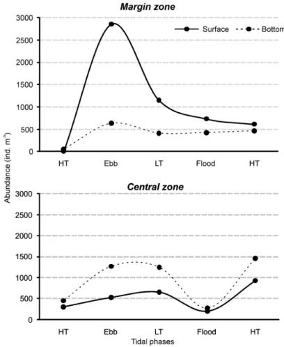 Fig.  4.  Abundance  distribution  of  A.  tonsa  in  the  two  sampling  stations  of  the  main  channel