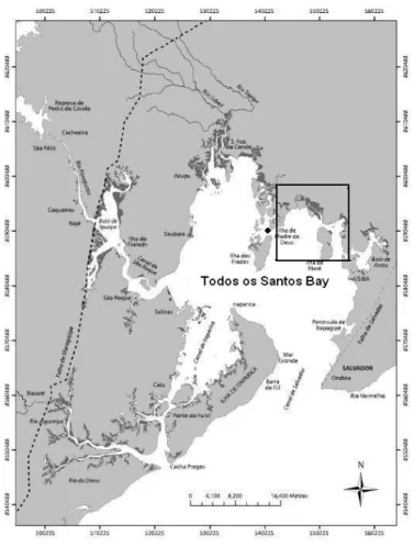 Fig.  1.  The  Todos  os  Santos  Bay  in  the  state  of  Bahia  (lat.  12 o 50’S;  long