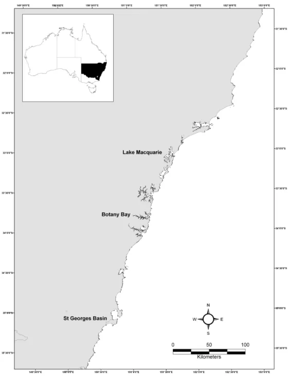 Fig. 1. Location of artificial reef sites (Lake Macquarie, Botany Bay St, Georges Basin)