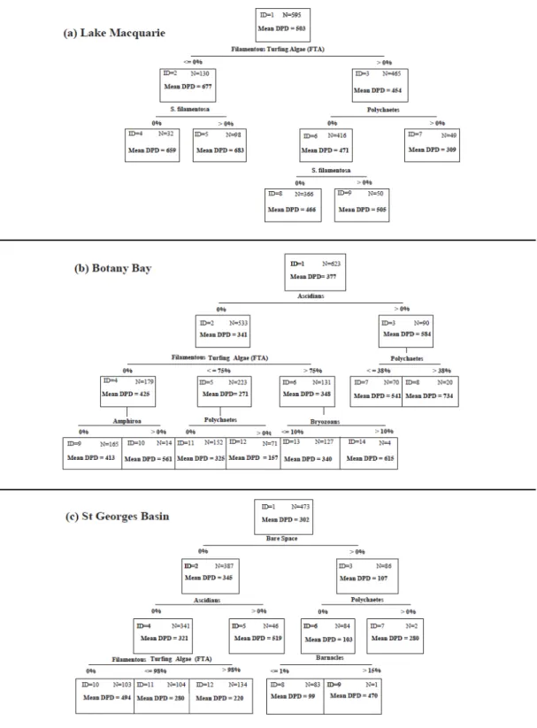 Fig.  3a,  b  and  c.  CHAID  Classification  indicating  relationship  between  mean  values  of  the  target  variable  -  days  post  deployment (DPD) and percentage cover of each taxon for (a) Lake Macquarie, (b) Botany Bay and (c) St Georges Basin