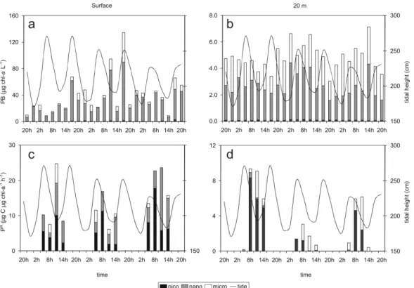 Fig. 2. Phytoplankton biomass (a,b) and photosynthetic efficiency (c,d) of the three size classes at the surface and 20m