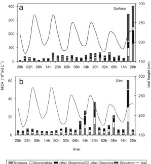 Fig. 3. Abundance of the microzooplankton dominant groups  at the surface (a) and 20 m (b)