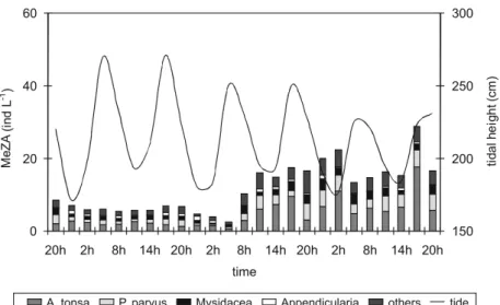Fig. 4. Abundance of the mesozooplankton dominant species and groups throughout the whole 20m  water column