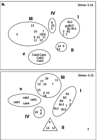 Fig. 2. Diagram of the NMDS ordination analysis showing stations arranged  as  a  function  of  species  density  data  for  the  winters  and  summers  studied
