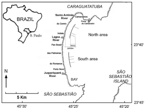 Fig. 1. Caraguatatuba Bay and otter-trawl sampling schemes from a monthly sample (dashed lines), in both study  areas, North and South (solid lines)