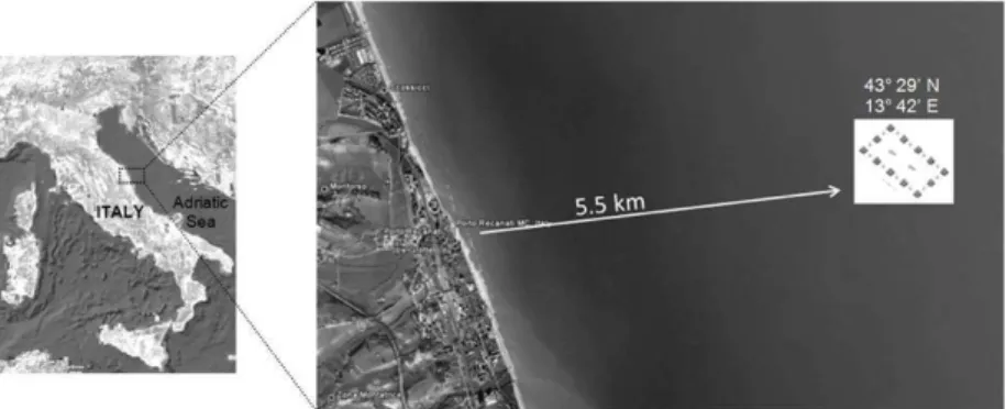 Fig. 1. Study area location showing the position of Porto Recanati artificial reef (Google Earth images)