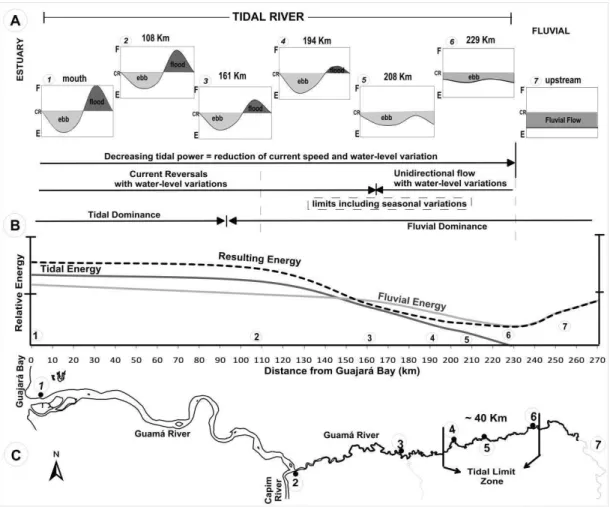 Fig.  14.  (A)  Schematic  representation  of  the  tidal  action  along  the  fluvial  channel,  showing  the  water-level  variation  and  opposed  the  forces  of  river  and  tidal  currents;  E=seaward-directed  (river  and/or  ebb)  currents;  F=land
