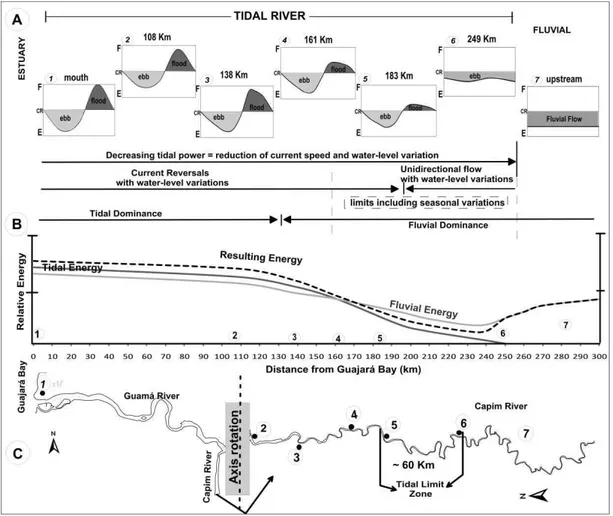 Fig.  15.  (A)  Schematic  representation  of  the  tidal  action  along  the  fluvial  channel,  showing  the  water-level  variation  and  opposed  the  forces  of  river  and  tidal  currents;  E=seaward-directed  (river  and/or  ebb)  currents;  F=land