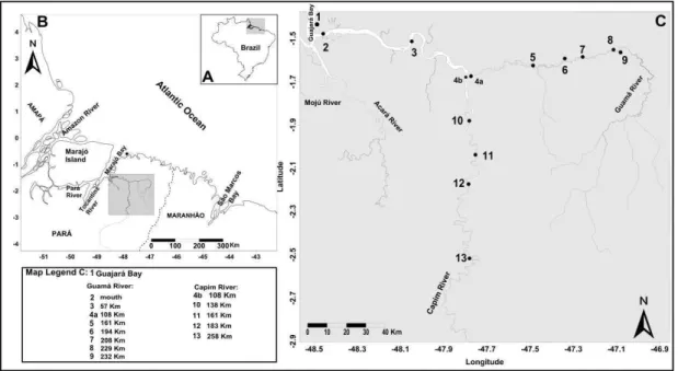 Fig. 1. Study area location and positions of the sampling stations (distances along the river course)
