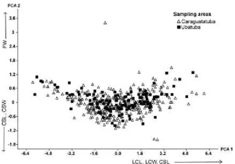 Fig.  3.  Principal  component  analysis  (PCA)  of  the  hermit  crab  Loxopagurus  loxochelis’s  (Diogenidae)  attributes in two sampling areas in São Paulo, Brazil