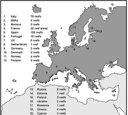 Fig. 1. Locations of artificial reefs in Europe. 