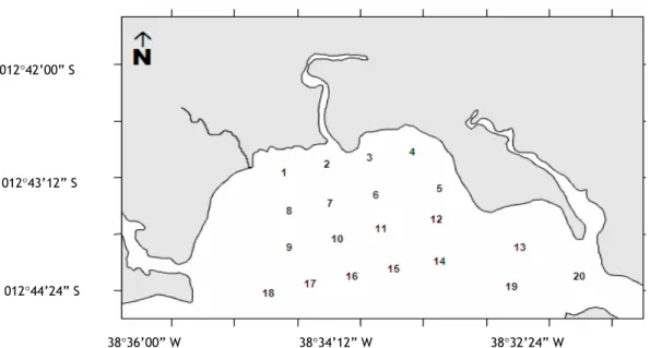 Fig.  1.  Study  area  of  5  sampling  campaigns  undertaken  in  the  Mataripe  estuarine  region,  between  August 2003 and January 2005