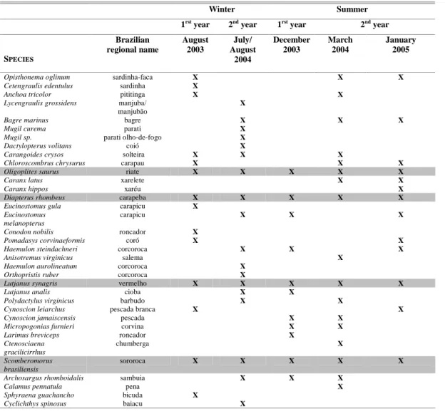 Table  1.  Occurrence  of  species,  by  sampling  campaign,  caught  in  the  Mataripe  estuarine  region