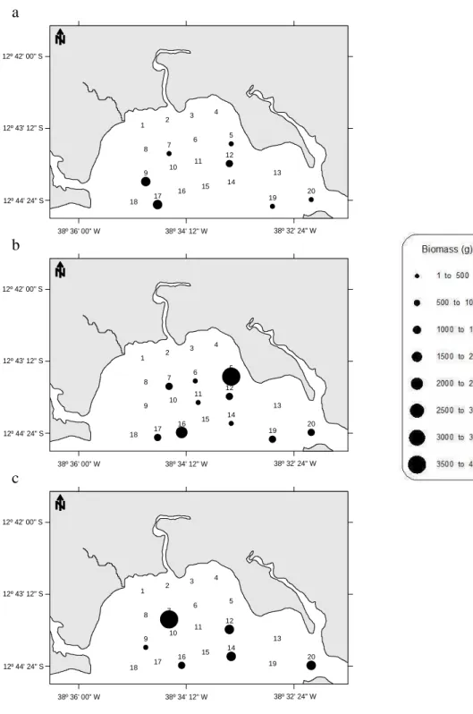 Fig. 3. Ichthyofauna biomass per sampling station on the campaigns of (a) December 2003, (b) March 2004  and (c) January 2005 in the Mataripe estuarine region