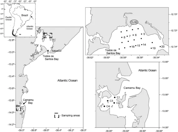 Fig. 1. Map of Bahia State coast, showing the sampling stations in Todos os Santos Bay and Camamu Bay