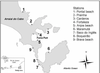 Fig. 1. Location of sampling stations in Arraial do Cabo, Rio de Janeiro, Brazil. 