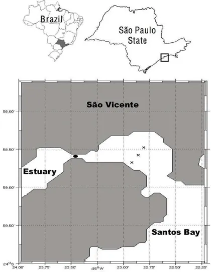 Fig.  1.  Detail  of  the  São  Vicente  estuarine  channel  located  in  the  Santos  Estuarine  System