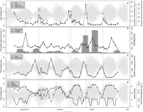 Fig.  5.  Time  series  from  site  2  during  the  summer  of  2010  (December/2009  until  March/2010)