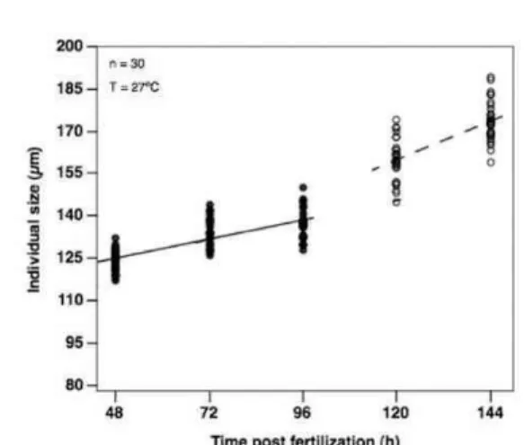 Fig. 3. Model of segmented linear regression adjusted on the  growth  of  veliger  larvae  of  Tridacna  crocea