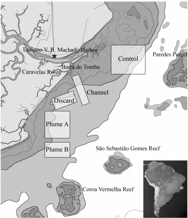 Fig.  1.  Map  of  the  mouth  of  the  Caravelas  River  and  the  coastal  region,  showing  the  stations  that  were  sampled  during  this  investigation and the principal coral reef formations