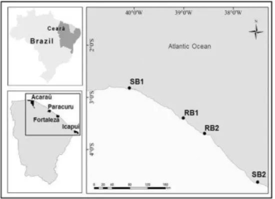 Fig. 1. Study sites located on the Ceará coast in northeastern  Brazil. Legend: SB1  –  Sandy Beach1, Arpoeiras Beach; RB1  –   Rocky  Beach1,  Pedra  Rachada  Beach;  RB2  –   Rocky  Beach2,  Goiabeiras  Beach;  SB2  –   Sandy  Beach2,  Ponta  Grossa Beac