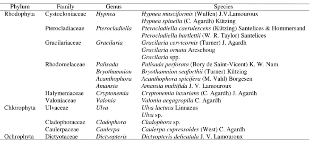 Table 1. Taxonomic classification of the algal species associated with Halodule wrightii meadows on the  Ceará coast in northeastern Brazil