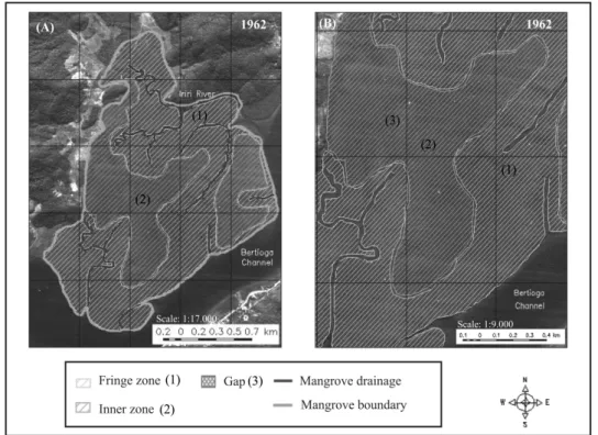 Fig. 2. Visual classification of the (A) study site and (B) different features presented in the mangrove inner zone in 1962