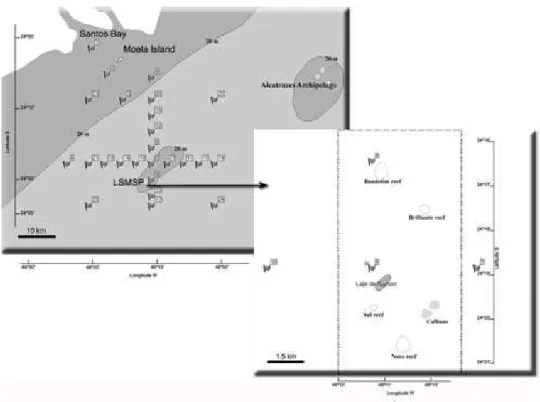 Fig.  2.  Points  for  particle  release  in  the  advection  -  diffusion  numerical  simulations  (1  to  25),  including  bathymetric lines (20 m depth).