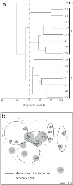 Fig. 5. Similarity among stations and sites of the Abrolhos  inner  reefs:  analysis  including  scleractinians  and  hydrocorals