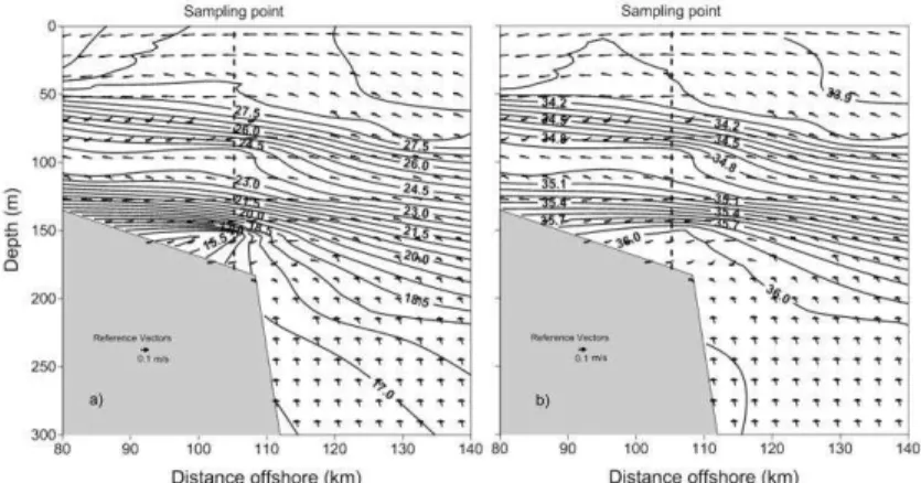 Fig.  8.  Model  outputs:  a)  velocities  (m  s -1 )  and  contours  of  temperature  ( o C),  and  b)  velocities (m s -1 ) and contours of salinities