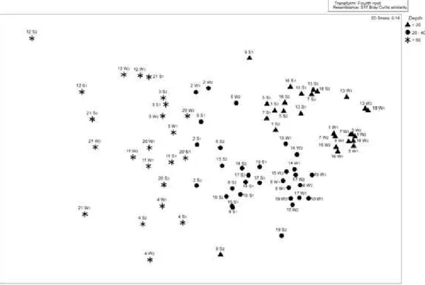 Fig. 7. Component analysis (nMDS) of the 84 stations based on the amphipod species abundance in the two periods studied (W 
