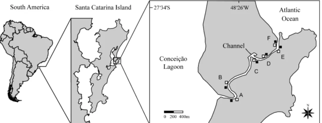 Fig. 1. The channel of Conceição Lagoon in southern Brazil showing piers areas (open squares) and reference areas  (filled squares), in the six sampling sites (A, B, C, D, E and F)