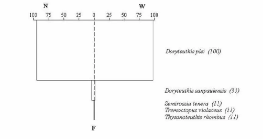 Fig. 4. Diagram of %IRI  regarding cephalopod species found in the stomachs of  nine Atlantic spotted dolphins (Stenella frontalis) incidentally captured in gillnets  in  southeastern  Brazil  from  2005  to  2007