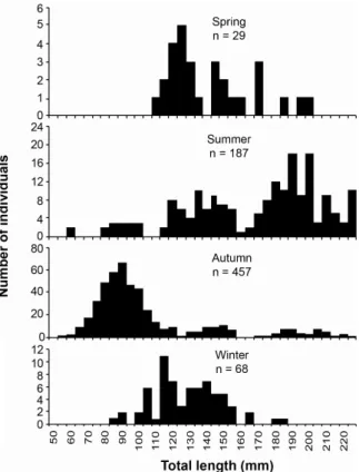 Fig.  4.  Length  frequency  distribution  for  D.  rhombeus  by  seasons  in  the  Sepetiba  bay,  RJ,  Oct-1998  to   Sep-1999