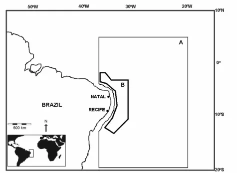 Fig. 1. Sample area in the western tropical Atlantic ocean. A –Area covered by the tuna longliners  where stomachs were collected