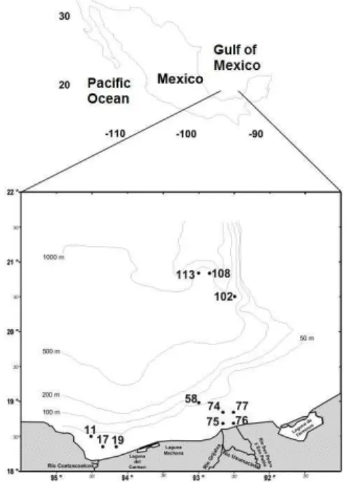 Fig.  1.  Map  of  the  southern  Gulf  of  Mexico,  showing  the  study  area,  with  the  eleven  stations  placed  in  two  coastal  areas  (Sta