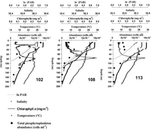 Fig.  3.  Vertical  profiles  of  some  environmental  variables,  chlorophyll  a  and  picophytoplankton in one oceanic area: Sta