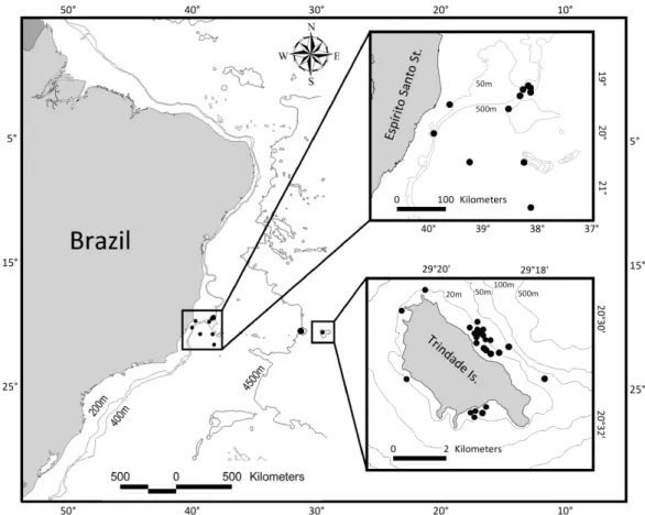 Fig.  1.  Sightings  of  humpback  whale  groups  during  a  longline  fishing  trip  along  VitóriaTrindade  chain  (2003)  and  around  Trindade Island (2007), Brazil