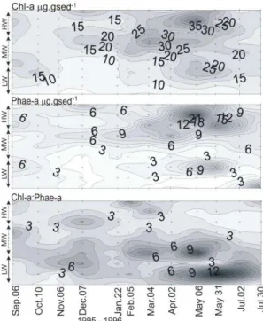 Fig.  8.  Principal  Component  Analysis  (PCA)  showing  microphytobenthic  biomass  in  relation  to  environmental  variables