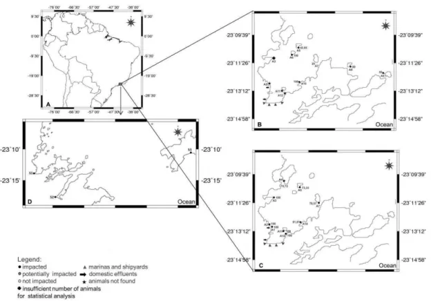 Fig. 1. Map showing the study area of Paraty. (A) Distribution of percentual of imposex affected females (%I) and respective  statistical evaluation in 2005