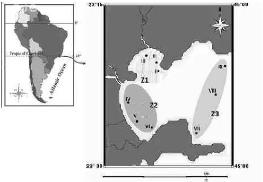 Fig. 1. Map of Ubatuba Bay, Brazil, indicating the sampled stations and the zones established (Z1, Z2 and Z3)