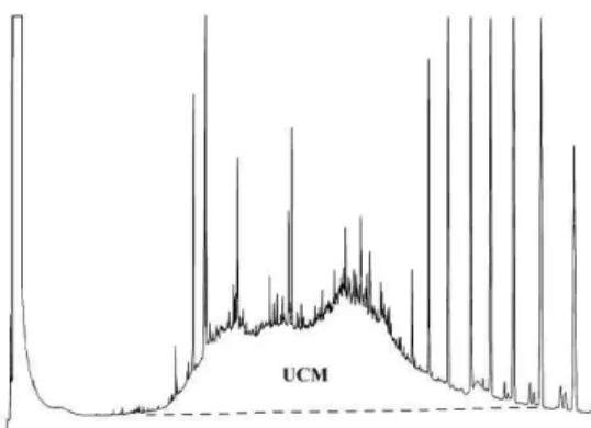 Fig.  7.  Chromatogram  of  sediments  from  St  #7,  sampled  in  October  1993.  A  well-developed  Unresolved  Complex  Mixture (UCM) and an unusual homologous n-alkane series  (n-C &gt;35) is shown