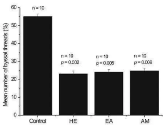 Fig.  1.  Mean  number  of  P.  perna  byssal  threads  (+  standard  errors)  attached  to  control  and  treatment  substrata