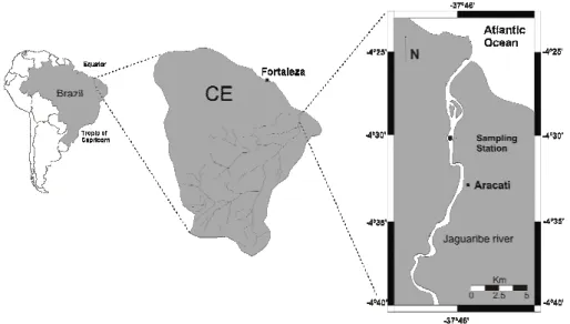 Fig. 1. The Jaguaribe River estuary, indicating the point of data collection.