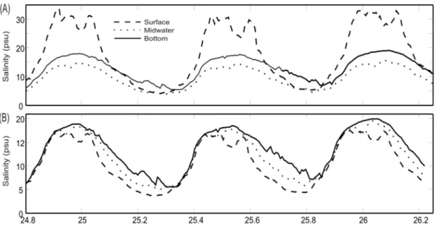 Figure  3A  shows  the  temporal  variation  of  salinity  recorded by  the  CTs  and  CTD  during  the  procedure