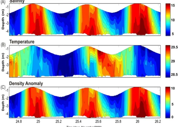 Figure  8  shows  the  vertical  and  temporal  distributions  of  salinity,  temperature  and  density,  indicating  the  variation  in  the  structure  of  the  water  column as a function of the tides