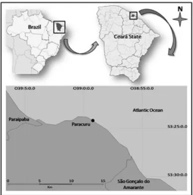 Fig. 1. Northeastern Brazil map showing the study site, Paracuru Beach, Ceará State. 