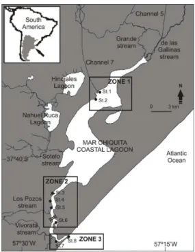 Fig. 1. Map of Mar Chiquita coastal lagoon with location of  the  sampling  stations  (St.)