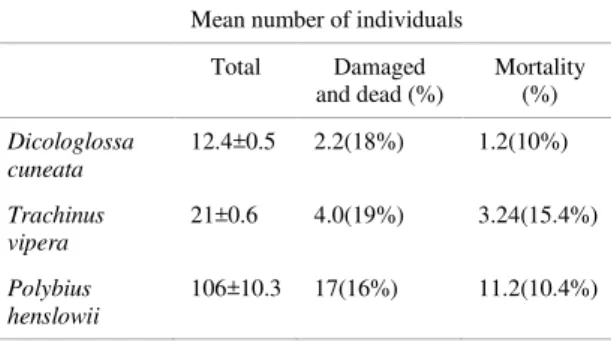 Table  1.  Estimates  for  total  number  of  individuals  captured  (mean  and  standard  deviation),  damaged  and  dead  per  15  minutes  dredge  tow  for Dicologlossa  cuneata,  Trachinus  vipera and Polybius henslowii