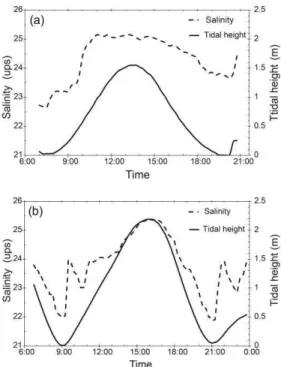 Fig.  3.  Time  variation  of  bottom  salinity  and  tidal  height  at  moored station
